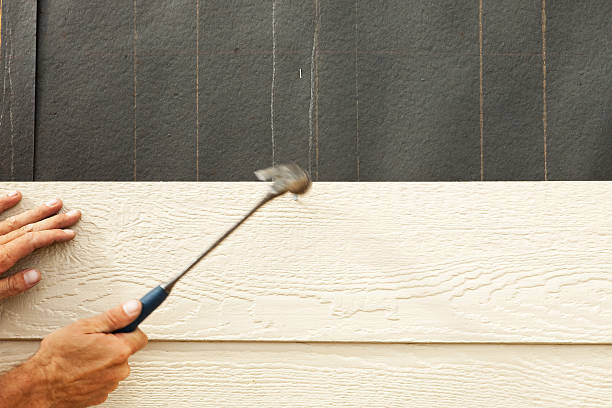 Best Brick Veneer Siding  in Roseville, CA